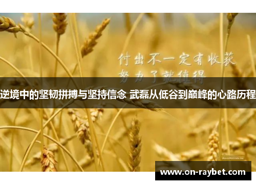 逆境中的坚韧拼搏与坚持信念 武磊从低谷到巅峰的心路历程