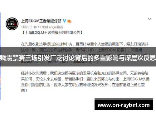 魏震禁赛三场引发广泛讨论背后的多重影响与深层次反思