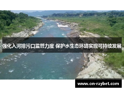 强化入河排污口监管力度 保护水生态环境实现可持续发展