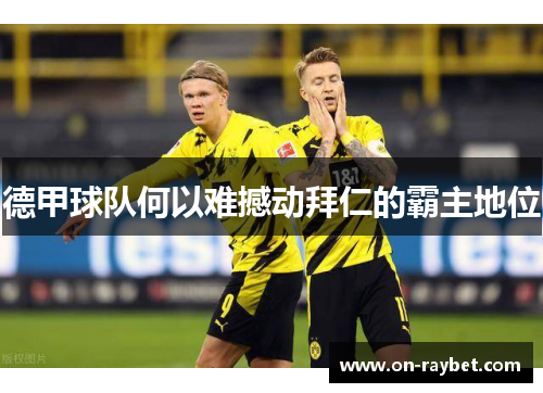 德甲球队何以难撼动拜仁的霸主地位 德甲球队何以难撼动拜仁的霸主地位